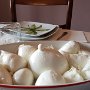 25 - Mamelon de mozzarella