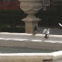 39 - Atterrissage bien négocié