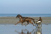 Entrainement à la course en Normandie