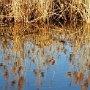 05 - En Camargue