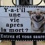 05 - Vaste question