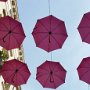 Parapluies d'octobre rose à Montpellier