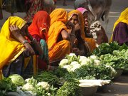 Marché 01 (Rajasthan)