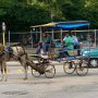 18 - A pied, à cheval, en voiture