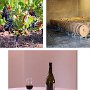10 - De la vigne au vin rouge
