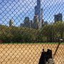 06 - Baseball à Central park, New-York