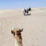 34 - Aux portes du désert - Tunisie