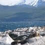 24 - Ushuaia