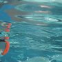 25 - Sous la mer, les poissons