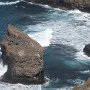 38 - Canaries
