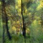 34 - Une belle fin de journée