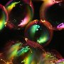 04 - Bulles de savon