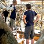 Museum, galerie de Paléontologie et d’Anatomie comparée 2018 