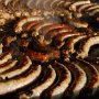 06 - Saucisses au barbecue