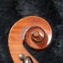 11 - Violon