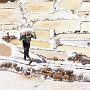 02 - Salines de Maras - Pérou